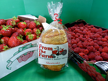 Locally grown, fresh juicy strawberries and homebaked shortcake at From the Farm Treats-Bringing Locally Grown Berries into the Fresh Baked Goodies for Burlington, Washington