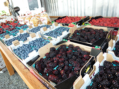 Blueberries, strawberries, raspberries and tay berries at From the Farm Treats-Bringing Locally Grown Berries into the Fresh Baked Goodies for Burlington, Washington